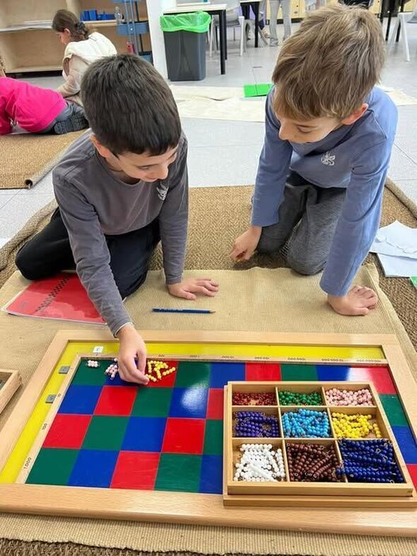 צילום מתוך  הפייסבוק חינוך מונטסורי ציבורי  פרדס צפוני