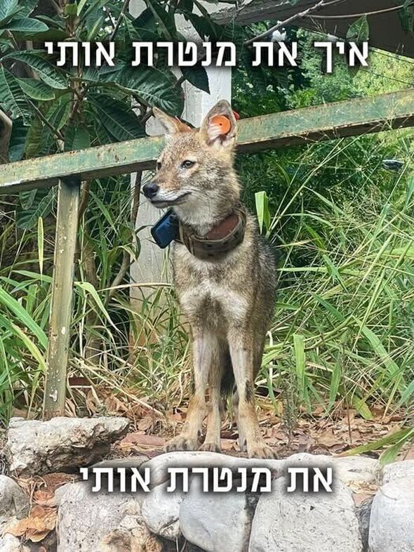 צילום מתוך דף הפייסבוק עיריית תל-אביב-יפו