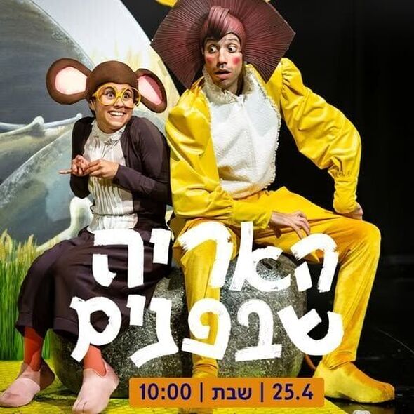 צילום מתוך דף הפייסבוק תיאטרון המדיטק