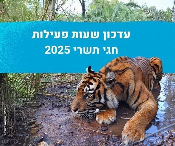 צילום מתוך דף הפייסבוק ספארי רמת גן Ramat Gan Safari
