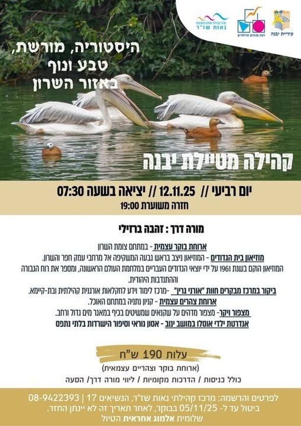 צילום מתוך דף הפייסבוק מרכז קהילתי נאות שז"ר