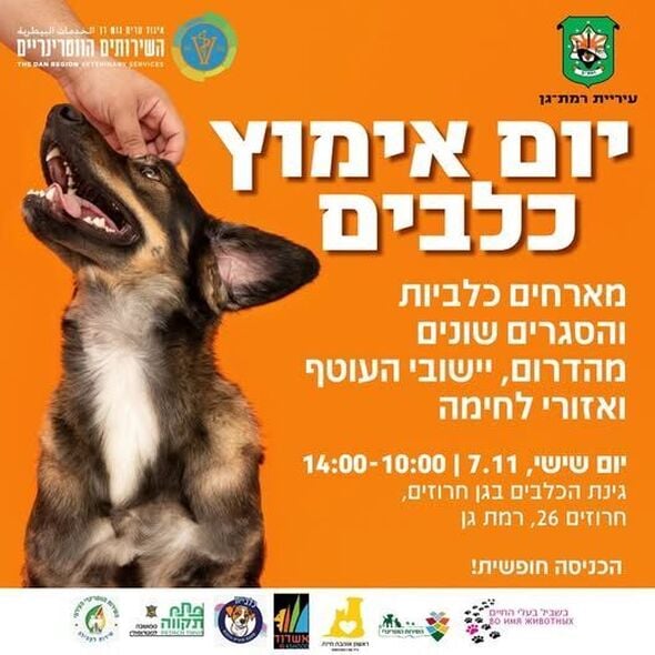 צילום מתוך דף הפייסבוק עמותת ראשון אוהבת חיות