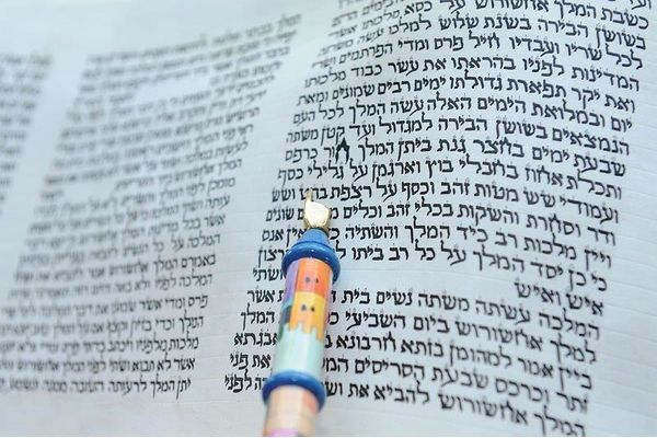 מגילת אסתר מתוך ויקיפדיה