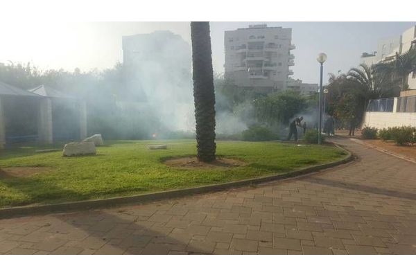 תמונת ארכיון צילום יאיר וייסברג בוואטסאפ האדום