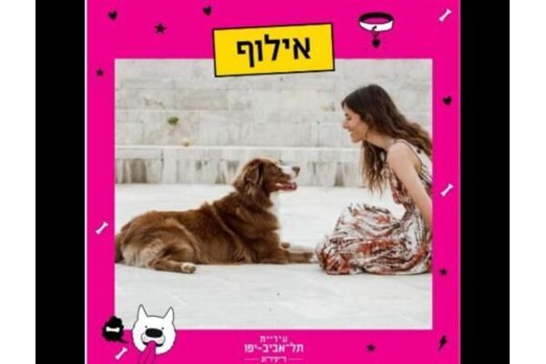 צילומים: ענבר הראל