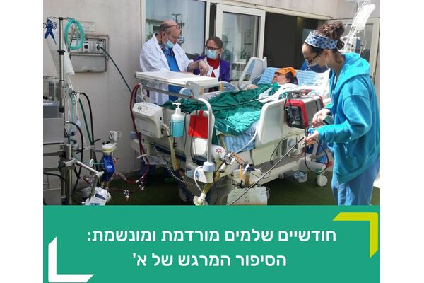 קרדיט: דוברות קפלן