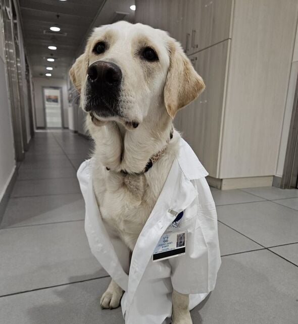 צילום מתוך דף הפייסבוק איכילוב - המרכז הרפואי ת״א