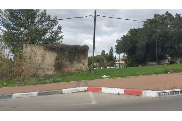 קרדיט טלי בן נון גלז