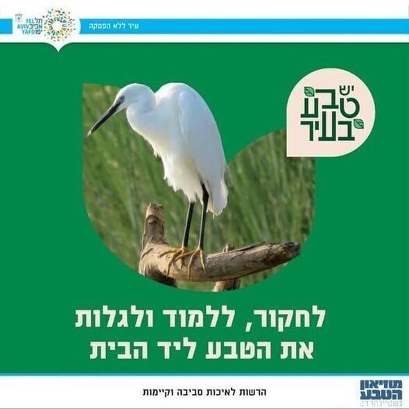 צילום מתוך דף הפייסבוק מוזיאון הטבע ע״ש שטיינהרדט, אונ' תל אביב