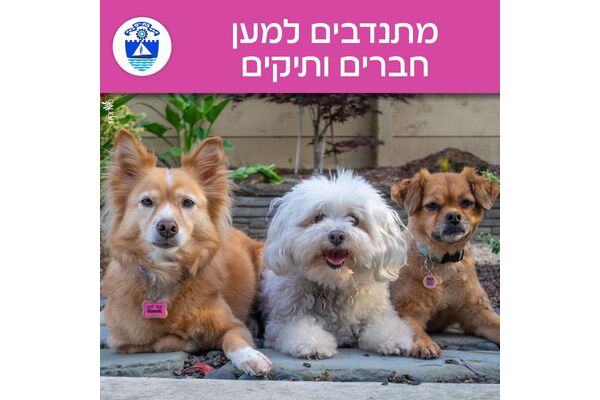 צילום מתוך דף הפייסבוק עיריית בת ים