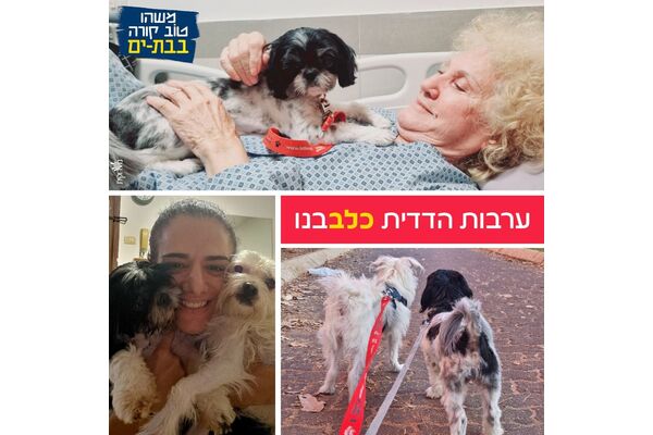 צילום מתוך דף הפייסבוק עיריית בת ים