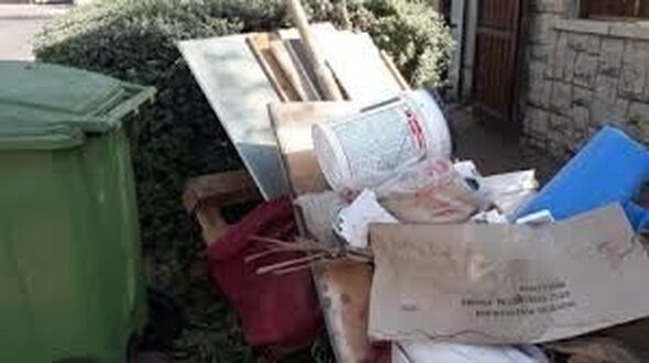 צילומים: עיריית נס ציונה