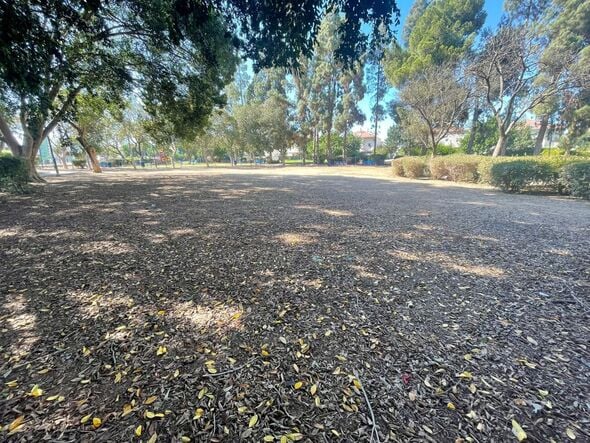 קרדיט: דוברות המועצה המקומית גדרה