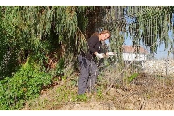 צילום: המועצה המקומית גדרה