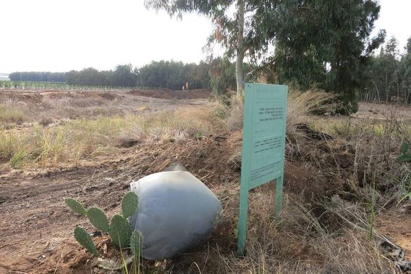 בריכת החורף אשר כוסתה בעפר וניטע עליה פרדס