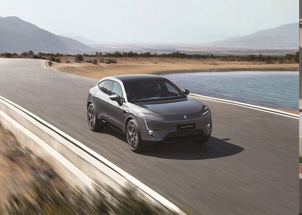 צילומים: יח"צ