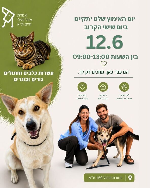 צילום מתוך דף הפייסבוק אגודת צער בעלי חיים בישראל - תל אביב
