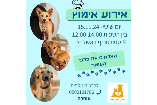 צילום מתוך דף הפייסבוק עמותת ראשון אוהבת חיות