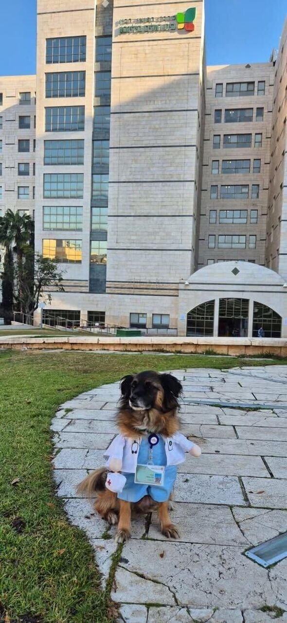 צילום מתוך דף הפייסבוק בית חולים בילינסון