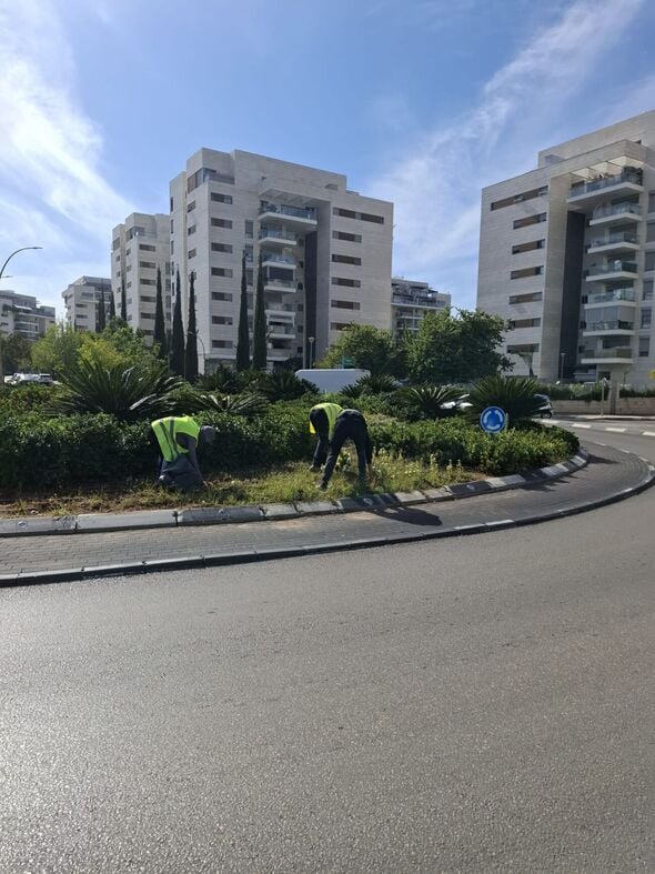 דוברות עיריית יבנה