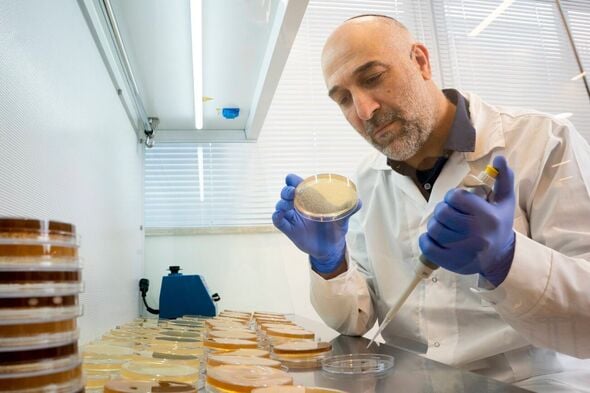 צילום מתוך דף הפייסבוק הפקולטה לחקלאות,