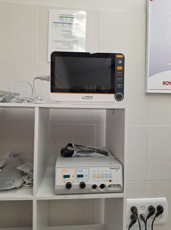 צילום מתוך דף הפייסבוק שרות וטרינרי עיריית פתח תקווה