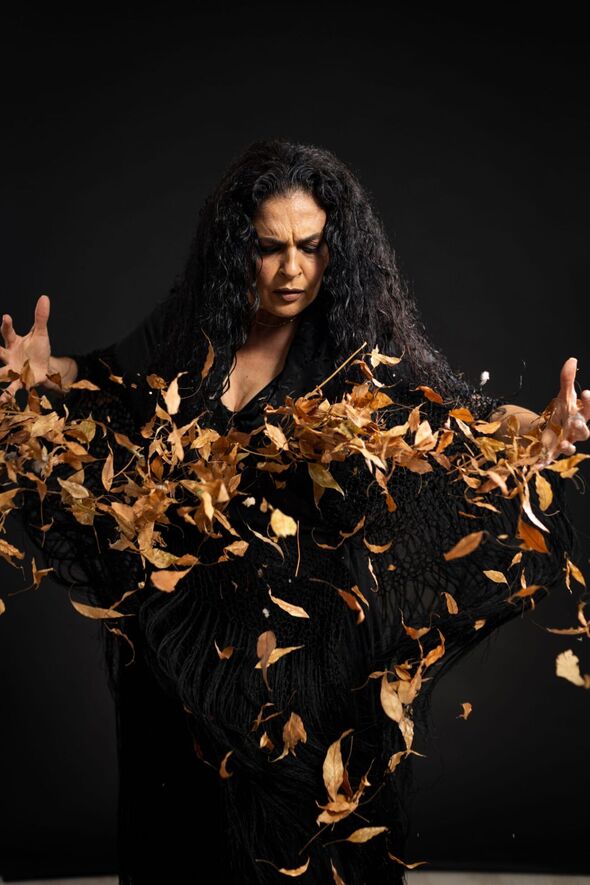 צילום: אסקף