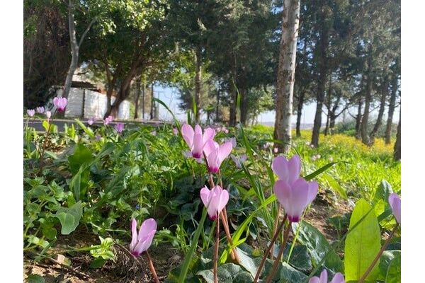 קרדיט: עיריית חולון