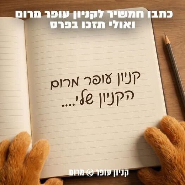 צילום מתוך דף הפייסבוק קניון עופר מרום