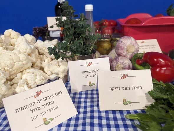 צילום:איכות הסביבה וקיימות