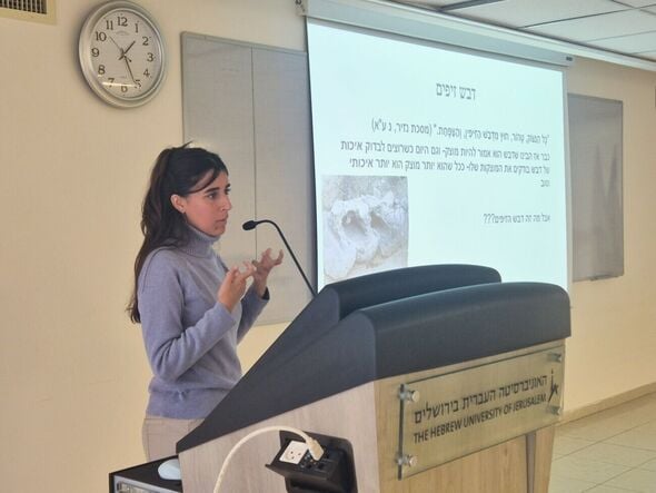 צילום:מרעי קאדי, כרמי אוקסמן, אביתר שר שלום ואסנת מלכה