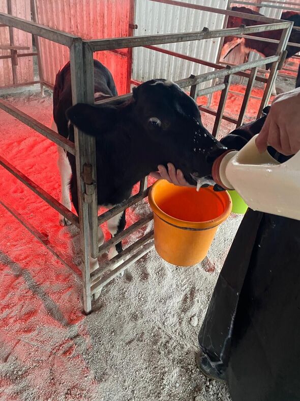 צילום מתוך דף הפייסבוק הפקולטה לחקלאות, מזון וסביבה ע"ש רוברט ה. סמית, רחובות