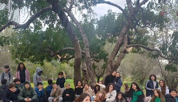 צילום:לימור רדוסקוביץ', רועי אליצור וקרן גבאי