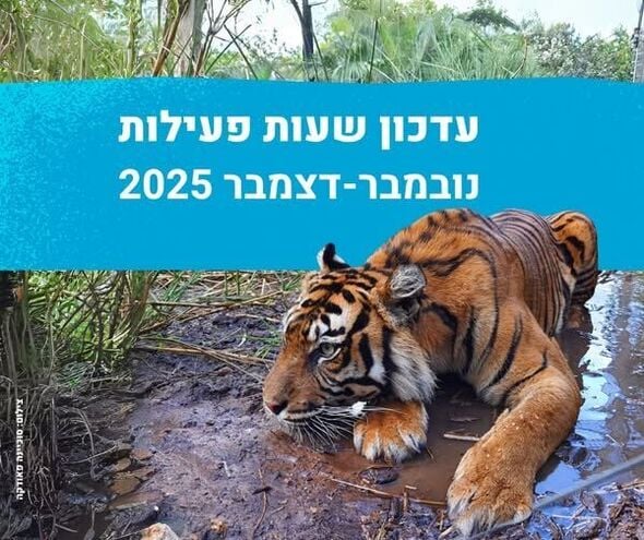 צילום מתוך דף הפייסבוק ספארי רמת גן  Ramat Gan Safari