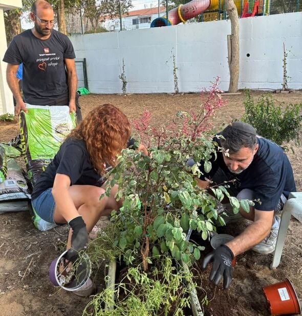 קרדיט: חברת החשמל