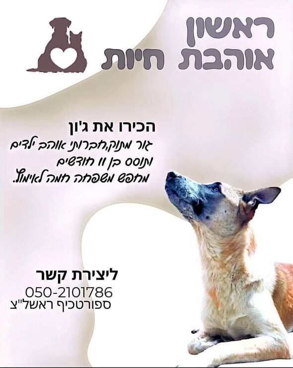 צילום מתוך דף הפייסבוק עמותת ראשון אוהבת חיות