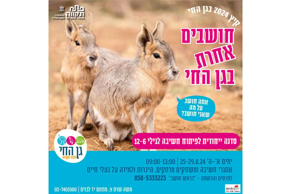 צילום מתוך דף הפייסבוק עיריית פתח תקווה
