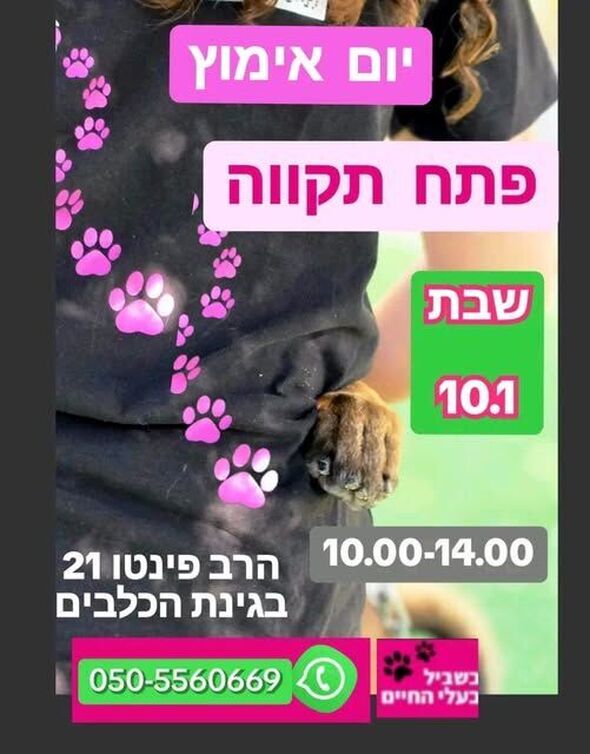צילום מתוך דף הפייסבוק צדוק בן משה - סגן ראש העיר פ"ת
