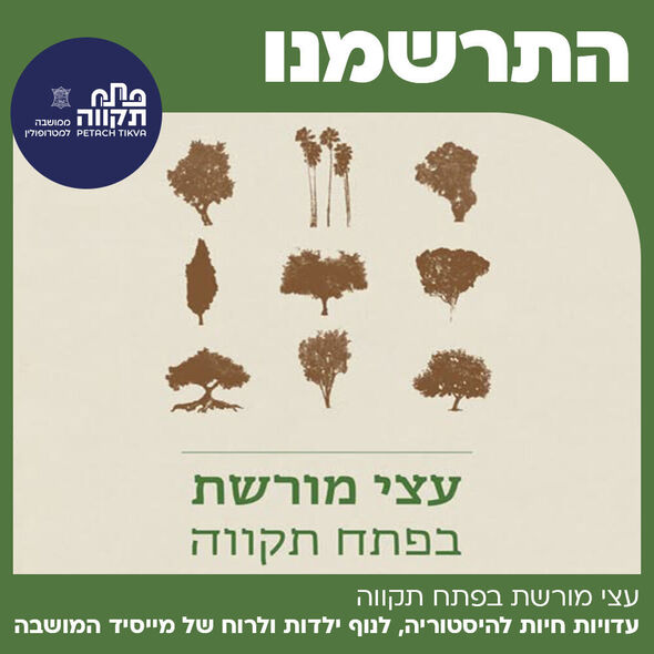 צילום מתוך דף הפייסבוק עיריית פתח תקווה