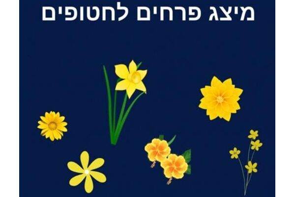 צילומים: עיצוב בcanva