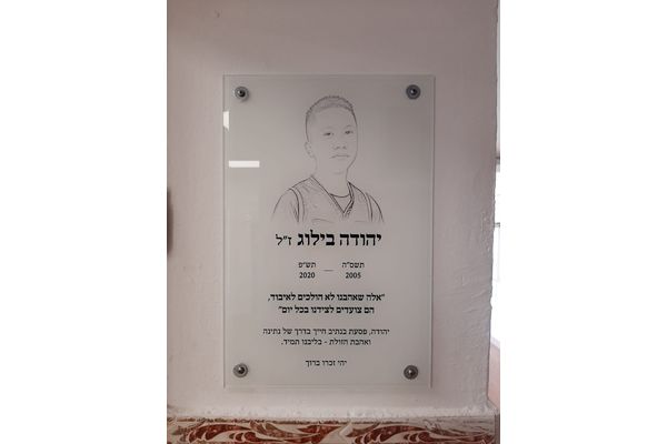 דה שליט