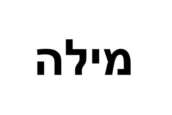 צילום מתוך דף הפייסבוק החברה לתרבות, פנאי וספורט בת-ים