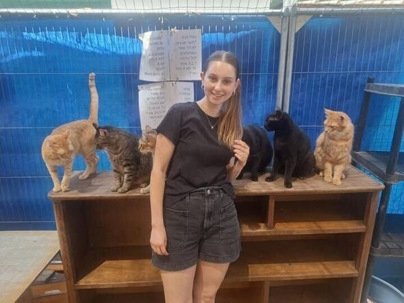 צילום מתוך דף הפייסבוק עמותת ראשון אוהבת חיות