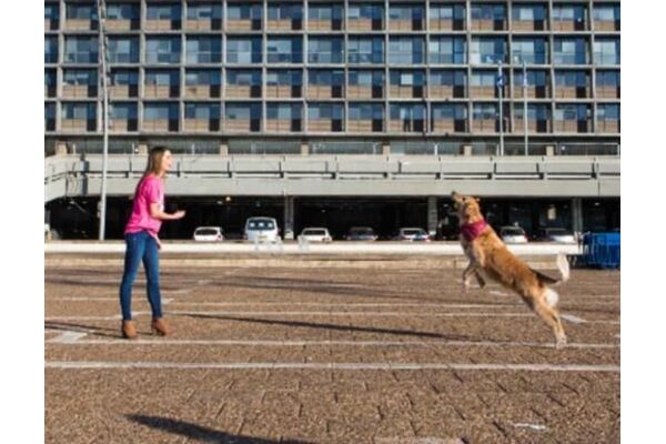 צילומים: דיגיתל