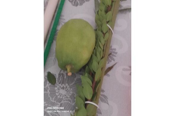 צילום מתוך דף הפייסבוק רמי גרינברג