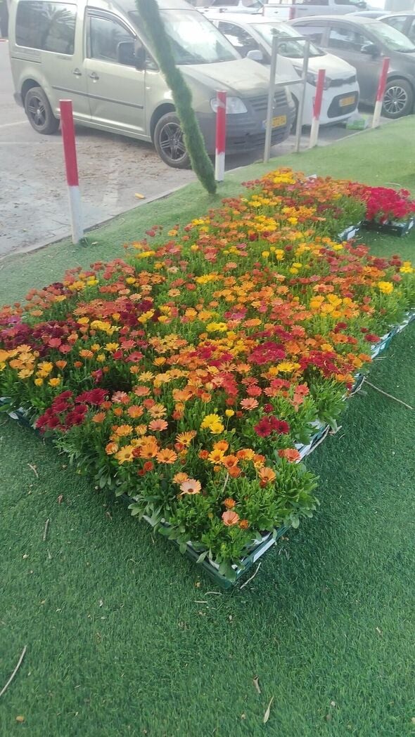 צילום מתוך דף הפייסבוק המועצה המקומית קריית עקרון