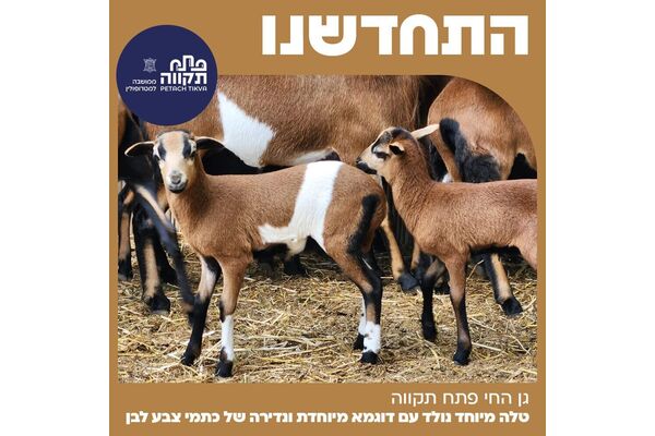 צילום מתוך דף הפייסבוק עיריית פתח תקווה