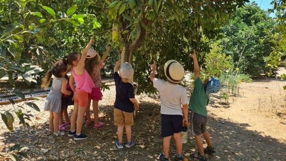 צילומים: צבי הנרי כהן,יולי מרוז