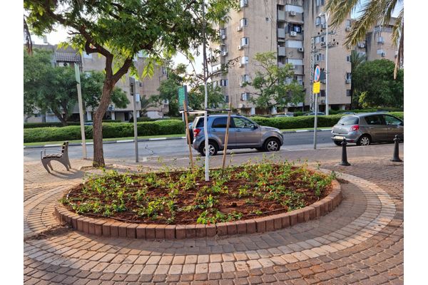 קרדיט:עיריית חולון