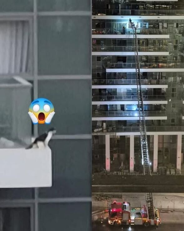 צילום מתוך דף הפייסבוק כרמל שאמה הכהן